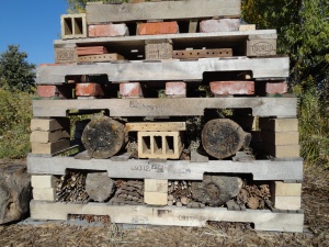 Building insect hotel.  Filling layers as we add pallets.