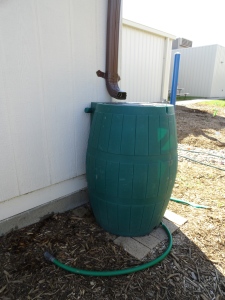 Rain barrel donated to our habitat project.